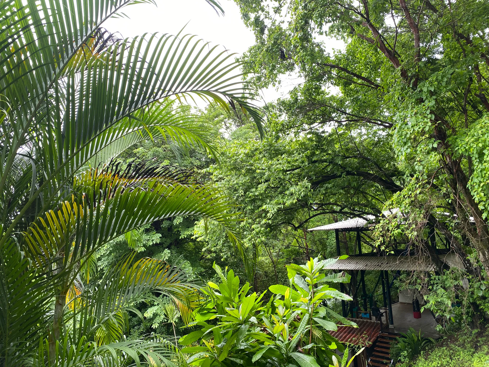 Funky Monkey - Adventure & Wellness Destination - 3