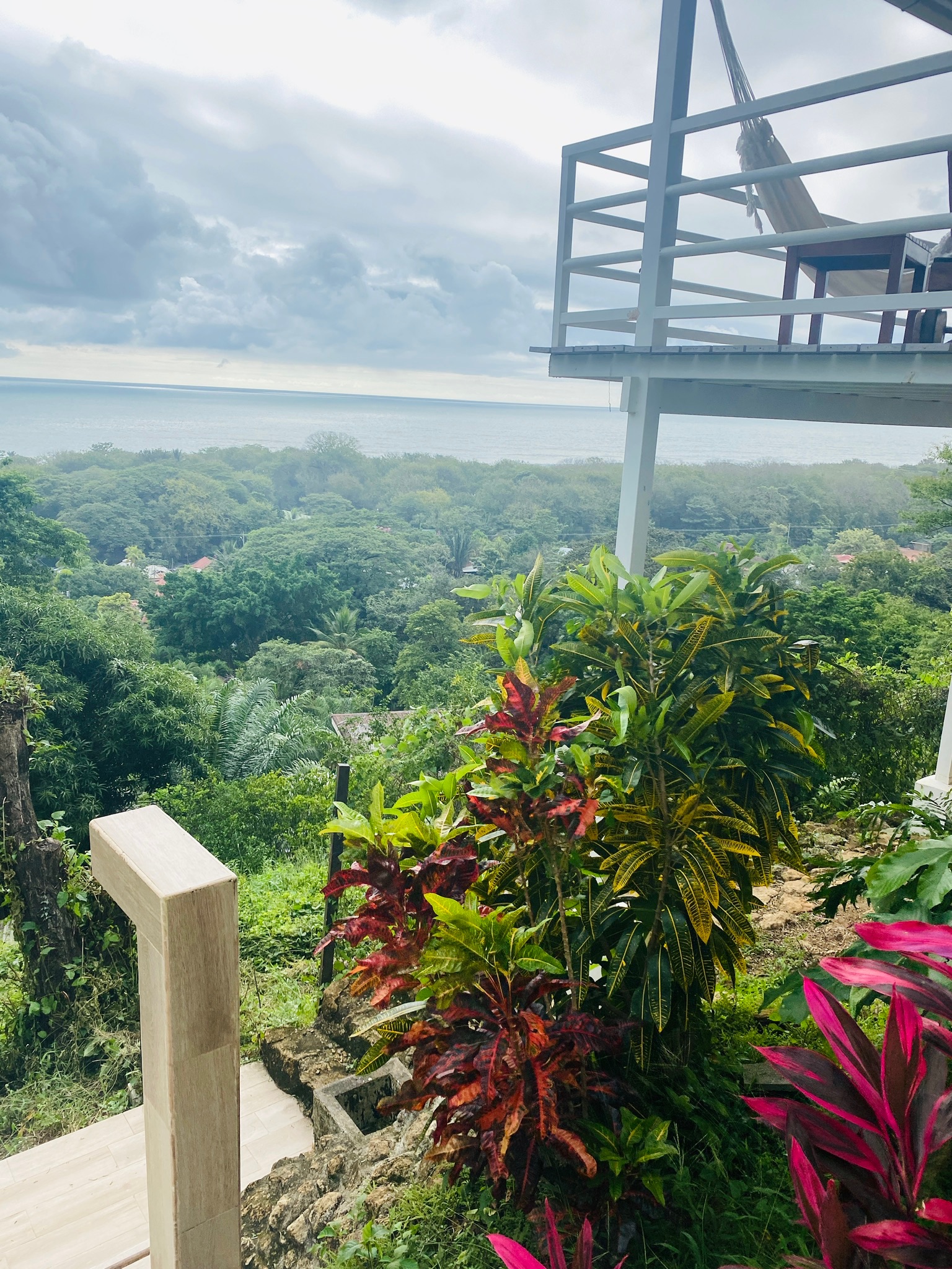 Funky Monkey - Adventure & Wellness Destination