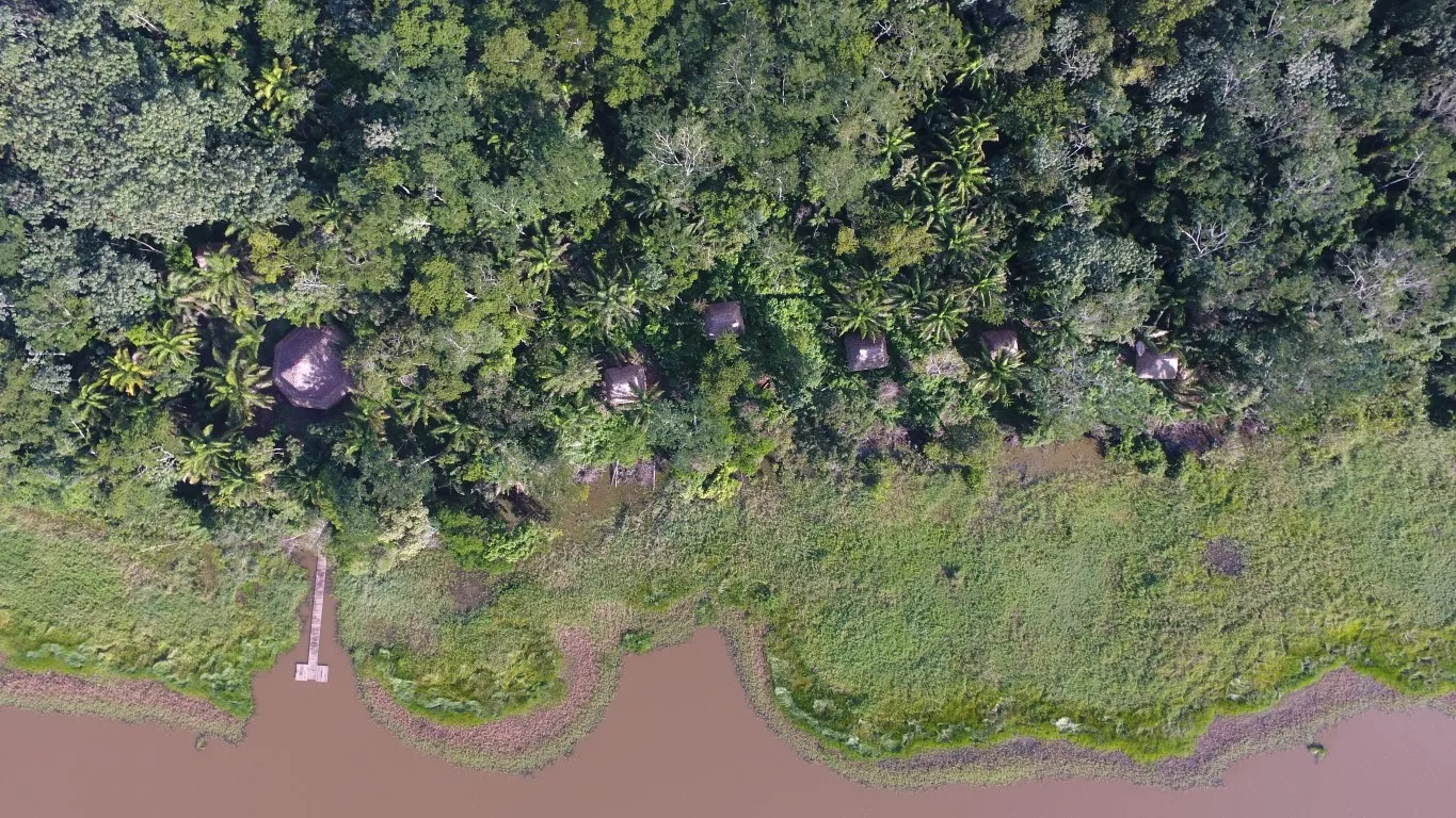 Secluded Retreat in Bolivian Amazon » Pisatahua - 5